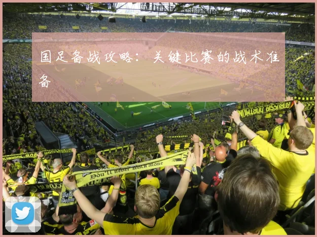 国足备战攻略:关键比赛的战术准备